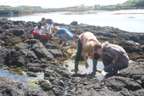 Beach workshops encourage learning through exploration